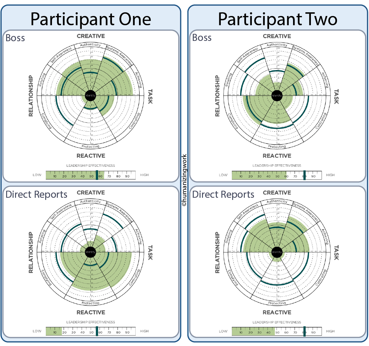 Leadership Circle Profile Perception Reality